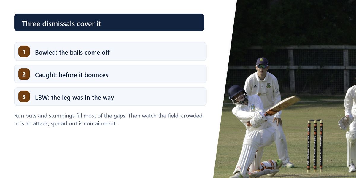 A batter defending with the wicketkeeper and a close catcher crowding the stumps, beside a numbered list of the three dismissals that account for most wickets.