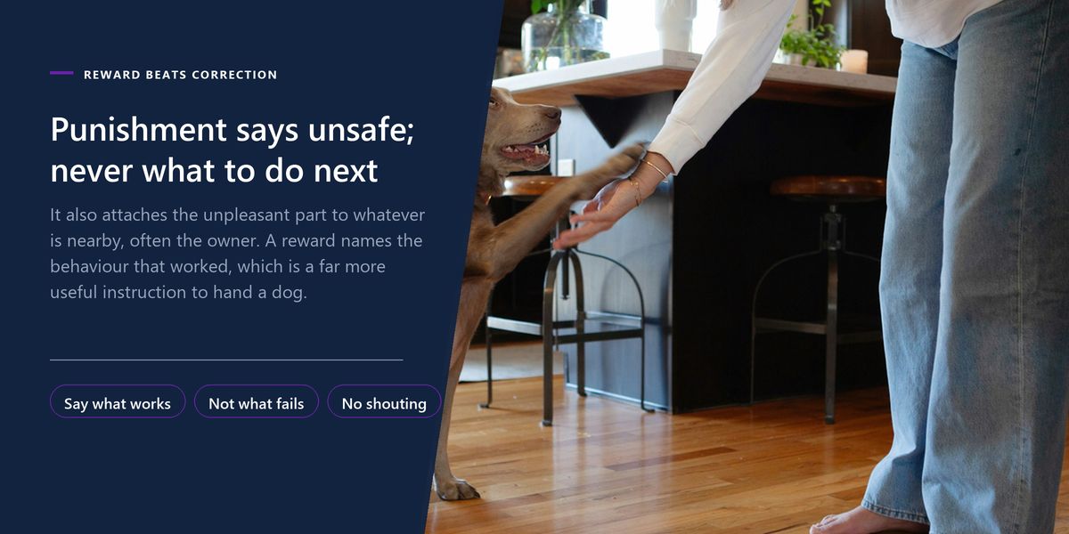 A dog sitting up in an ordinary kitchen and placing its paw into an outstretched hand, beside a panel noting punishment says unsafe but never says what to do next.