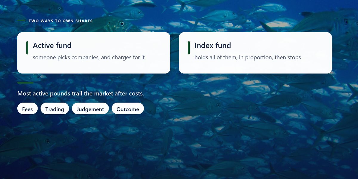 A dense school of silver fish turning together underwater, darkened behind two panels comparing an active fund with an index fund.