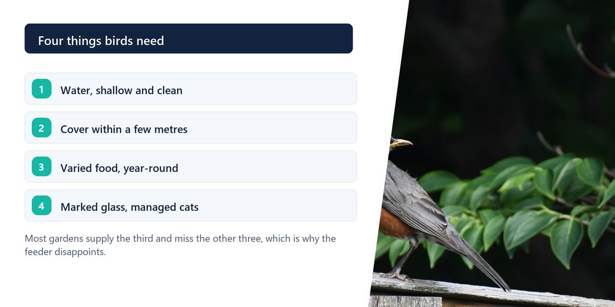 A robin perched on a weathered fence rail among green leaves, beside a numbered list of the four things a garden has to provide.