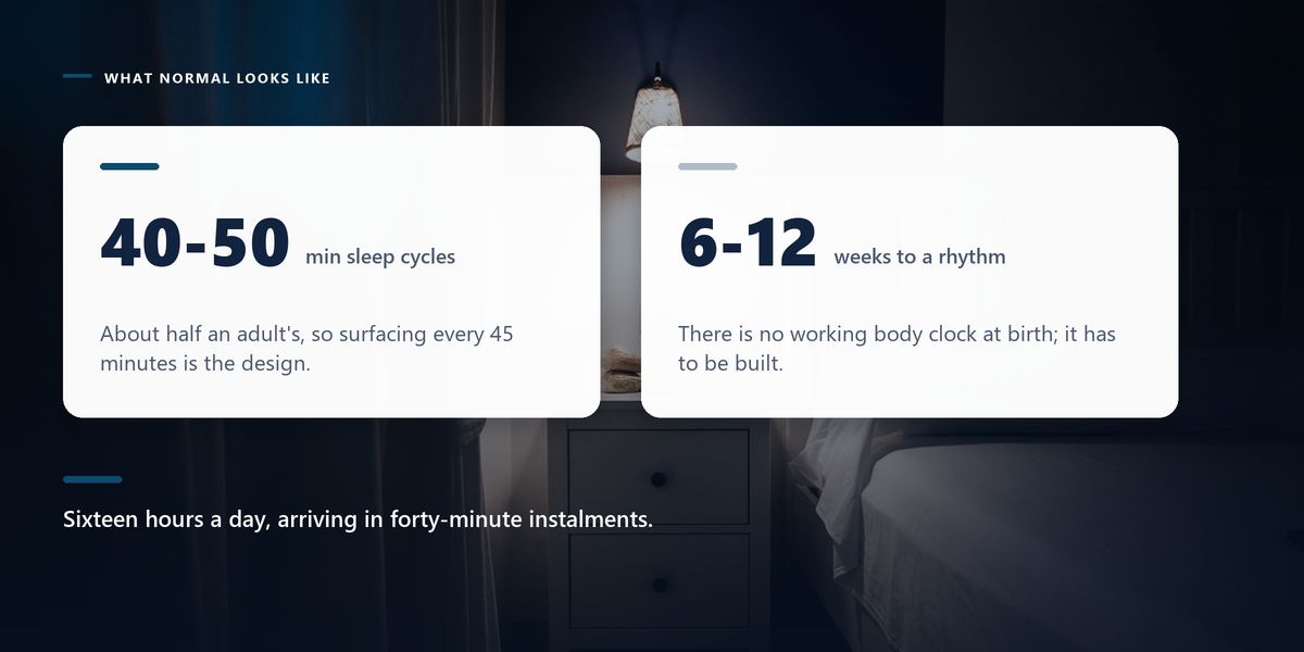 A bedside lamp burning in a dark bedroom beside a made bed, behind two cards giving newborn sleep cycle lengths and when a body clock appears.