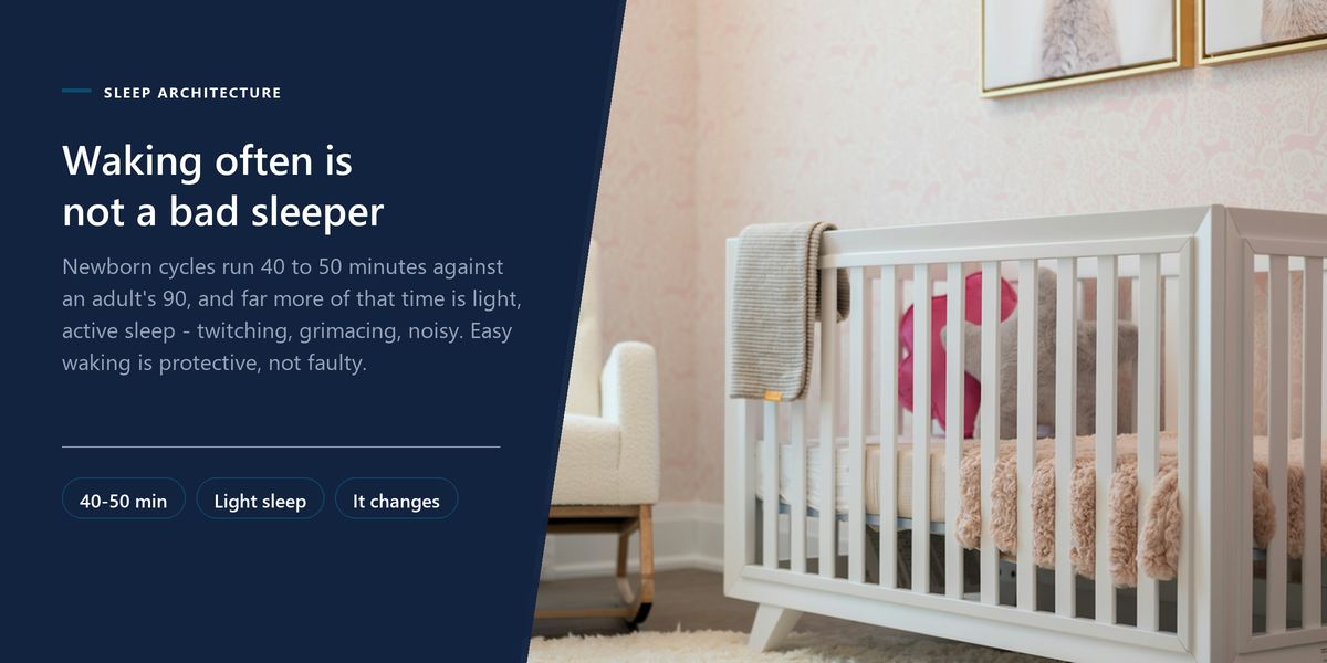 A quiet nursery with a white cot and a nursing chair by a curtained window, beside a panel explaining why newborn sleep cycles are so short.