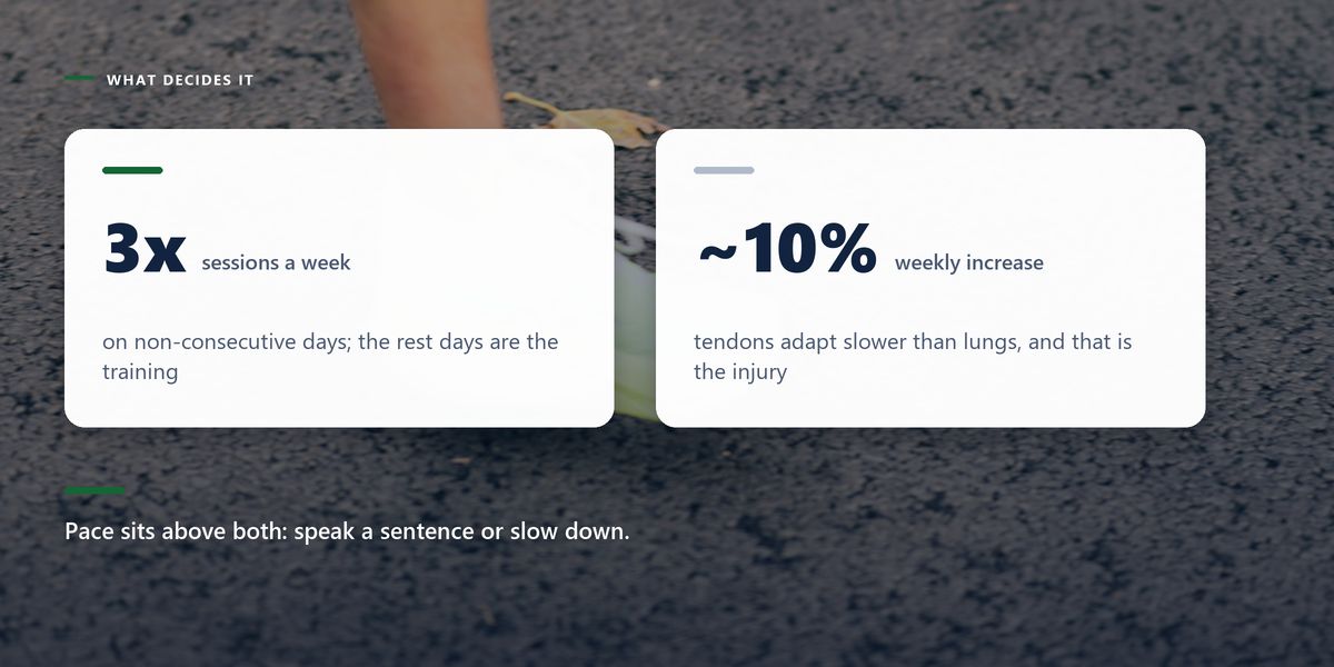 A neon running shoe mid-step on dark asphalt, dimmed behind two cards giving three sessions a week and a ten per cent weekly increase.