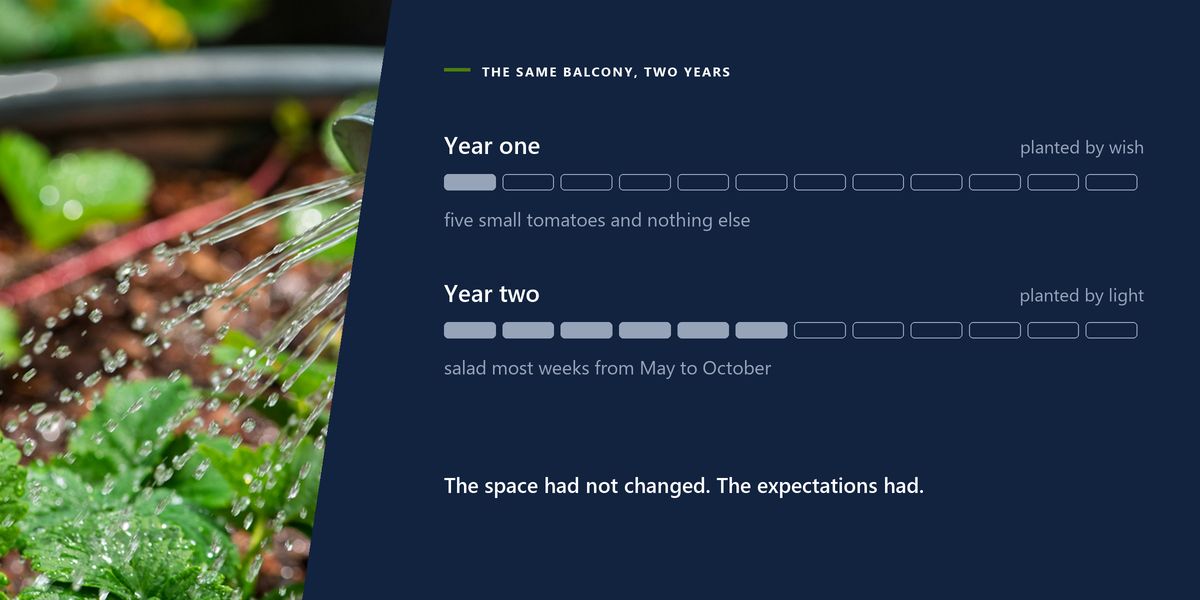 Water falling from a metal watering can onto young leaves in wet compost, beside a two-row chart comparing a balcony's first and second summers.